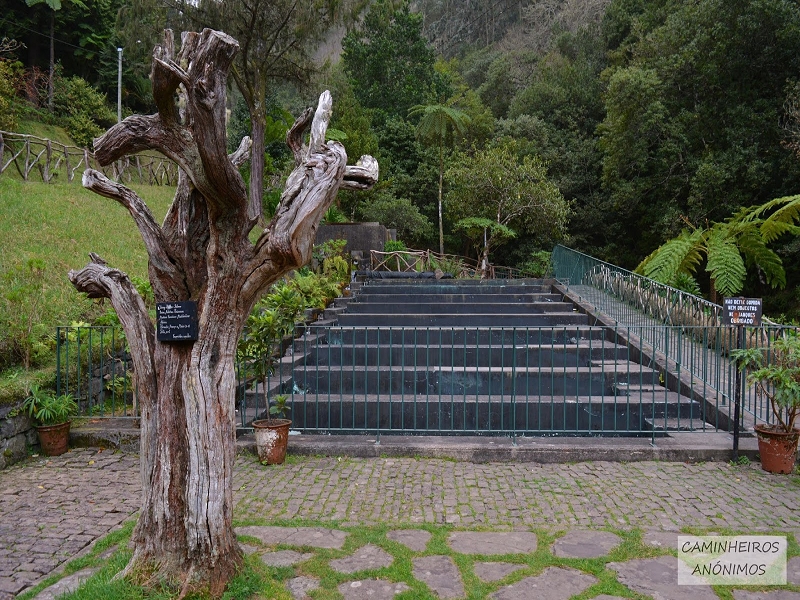 4 August 2021 Exploring a levada in Ribeiro Frio — The end of the levada in Ribeiro Frio — photo 13