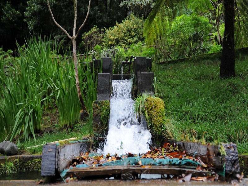Levada do Posto Aquicola do Ribeiro Frio — The well-known finish — photo 2