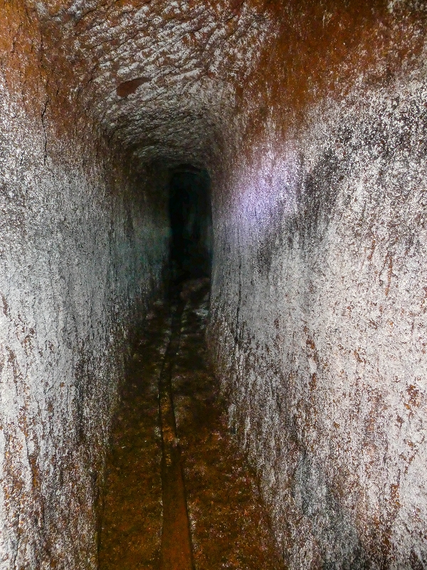 Levada do Posto Aquicola do Ribeiro Frio — The Madre, the 30 m tunnel — photo 19