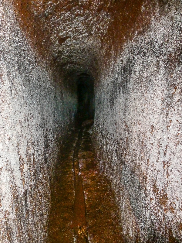 Levada do Posto Aquicola do Ribeiro Frio — The Madre, the 30 m tunnel — photo 20