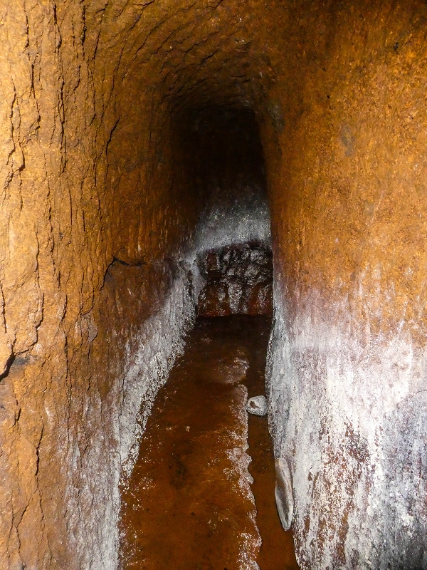 Levada do Posto Aquicola do Ribeiro Frio — The Madre, the 30 m tunnel — photo 21