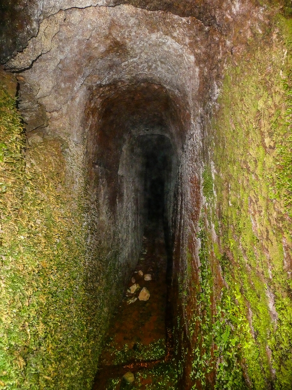 Levada do Posto Aquicola do Ribeiro Frio — The Madre, the 30 m tunnel — photo 23