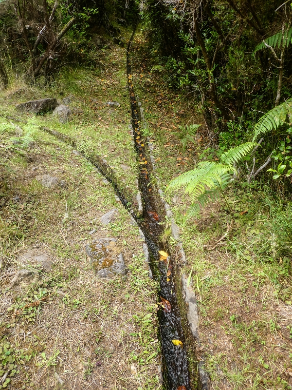 Levada do Posto Aquicola do Ribeiro Frio — Side levada 1 with a spring — photo 2