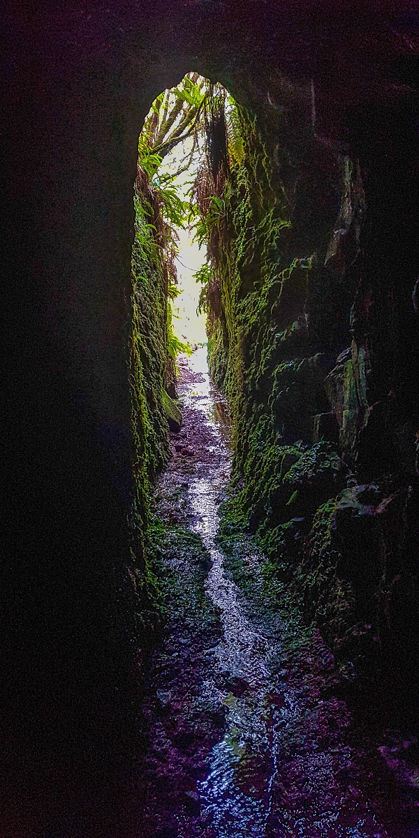 Levada do Posto Aquicola do Ribeiro Frio — Side levada 2 to the first longer tunnel — photo 2
