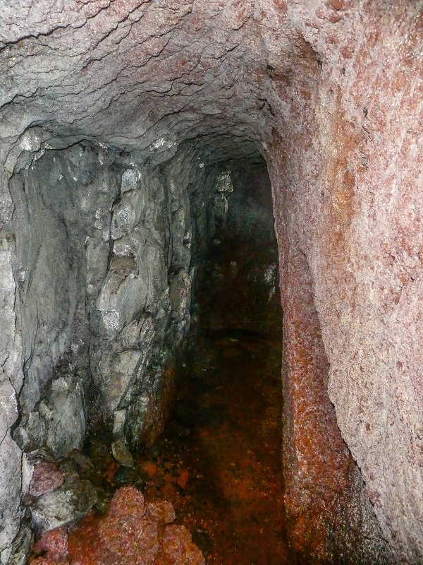 Levada do Posto Aquicola do Ribeiro Frio — Side levada 2 to the first longer tunnel — photo 5