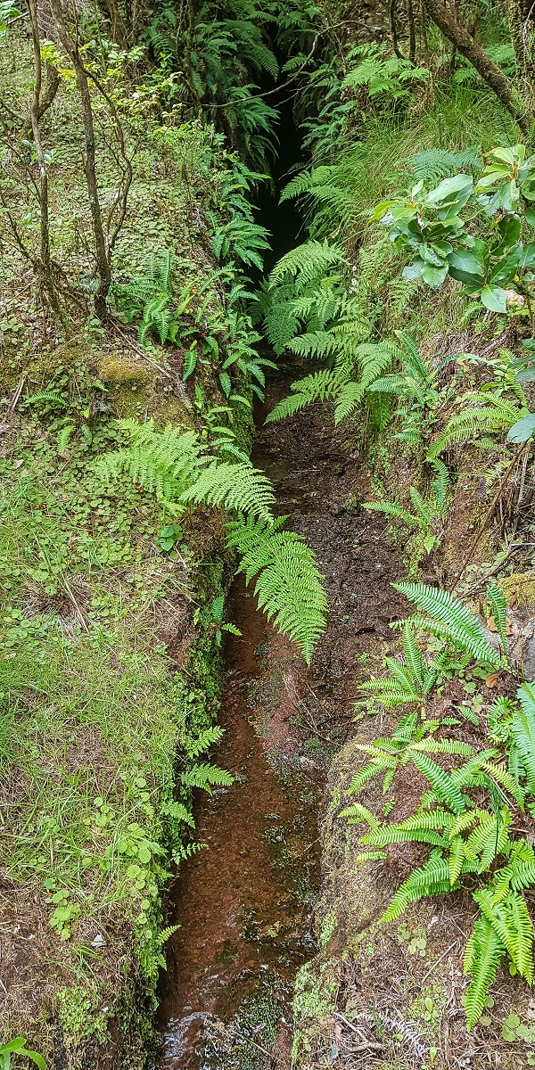 Levada do Posto Aquicola do Ribeiro Frio — Side levada 2 to the first longer tunnel — photo 6