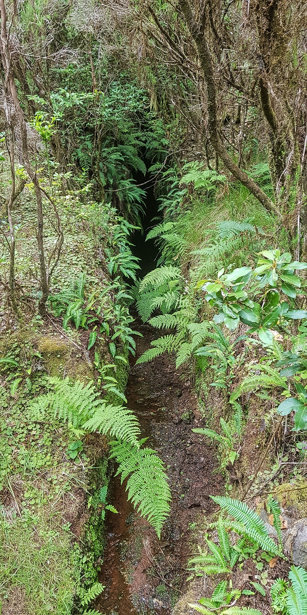 Levada do Posto Aquicola do Ribeiro Frio — Side levada 2 to the first longer tunnel — photo 7