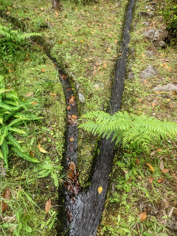 Levada do Posto Aquicola do Ribeiro Frio — Side levada 3 with a spring — photo 6