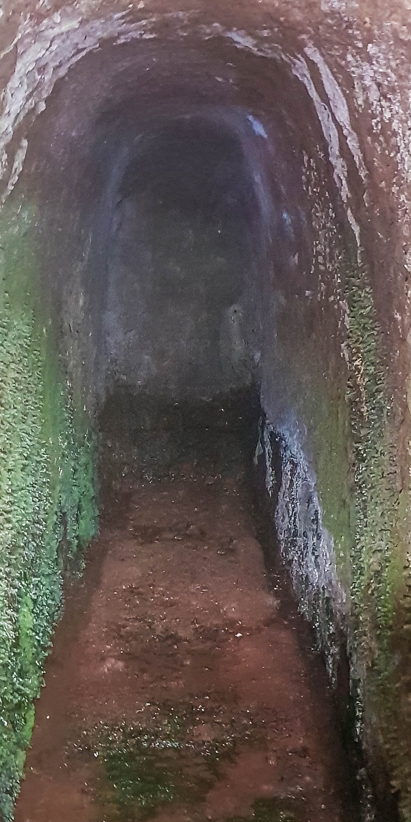 Levada do Posto Aquicola do Ribeiro Frio — Side levada 4 with a shorter tunnel — photo 2