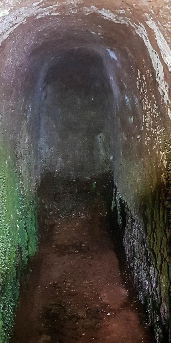 Levada do Posto Aquicola do Ribeiro Frio — Side levada 4 with a shorter tunnel — photo 3