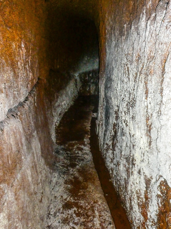 Levada do Posto Aquicola do Ribeiro Frio — The Madre, the 30 m tunnel — photo 5