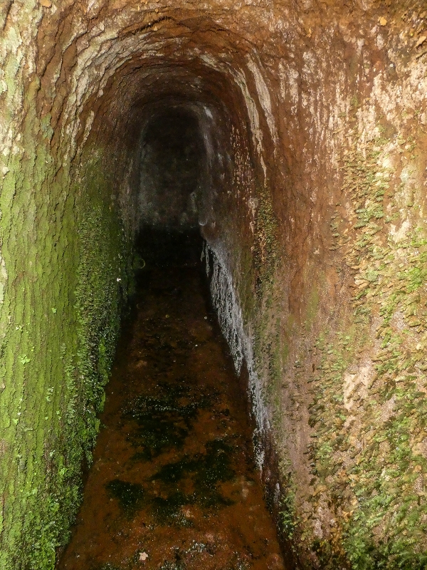 Levada do Posto Aquicola do Ribeiro Frio — Side levada 4 with a shorter tunnel — photo 6