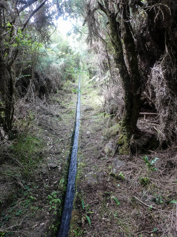 Levada do Posto Aquicola do Ribeiro Frio — Side levada 6 towards Ribeiro Frio — photo 1