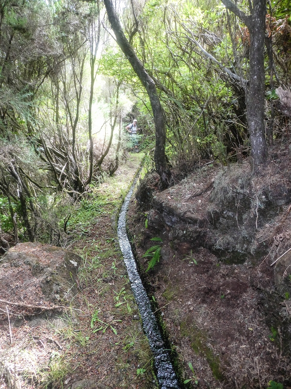 Levada do Posto Aquicola do Ribeiro Frio — Side levada 6 towards Ribeiro Frio — photo 3