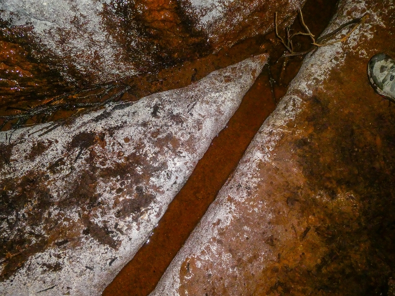 Levada do Posto Aquicola do Ribeiro Frio — The Madre, the 30 m tunnel — photo 6