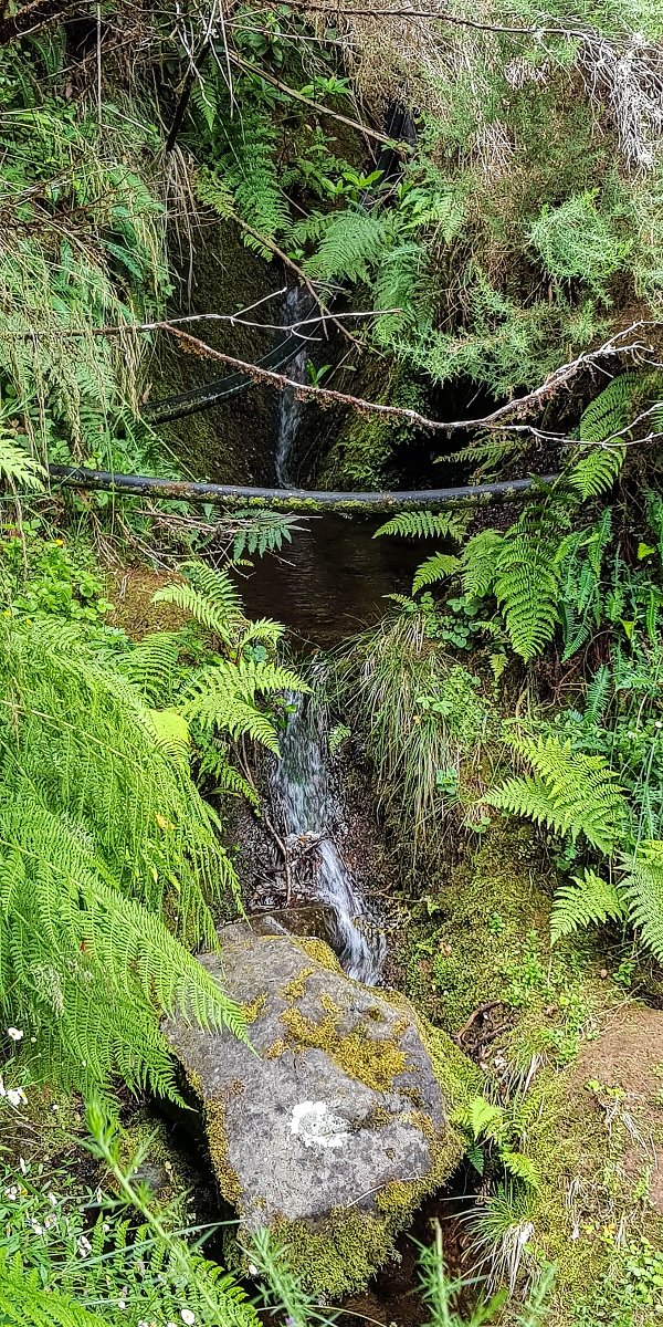Levada do Posto Aquicola do Ribeiro Frio — Side levada 6 towards Ribeiro Frio — photo 4
