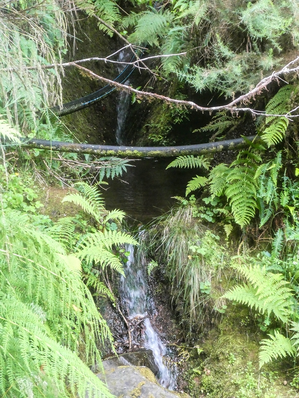 Levada do Posto Aquicola do Ribeiro Frio — Side levada 6 towards Ribeiro Frio — photo 6