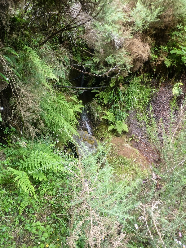 Levada do Posto Aquicola do Ribeiro Frio — Side levada 6 towards Ribeiro Frio — photo 7