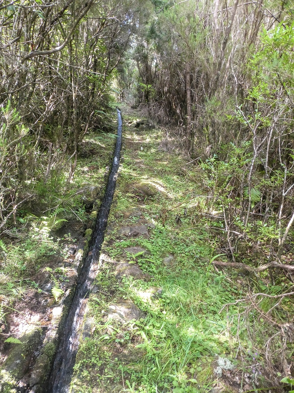 Levada do Posto Aquicola do Ribeiro Frio — Main branch — photo 2