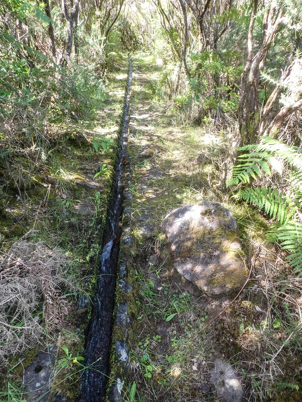 Levada do Posto Aquicola do Ribeiro Frio — Main branch — photo 3