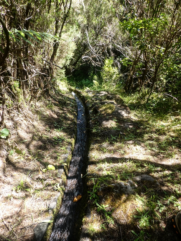Levada do Posto Aquicola do Ribeiro Frio — Main branch — photo 5