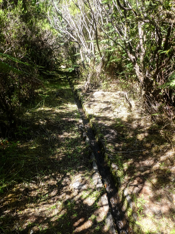 Levada do Posto Aquicola do Ribeiro Frio — Main branch — photo 6