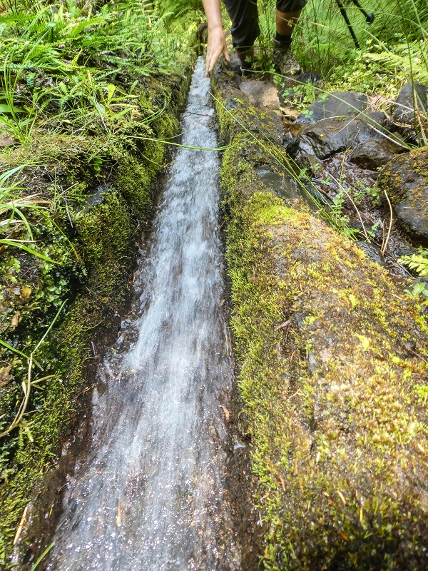 Levada do Posto Aquicola do Ribeiro Frio — The steep stretch, the bifurcation and side levada 8 into the Ribeiro Frio — photo 1