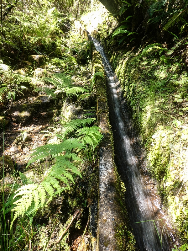 Levada do Posto Aquicola do Ribeiro Frio — The steep stretch, the bifurcation and side levada 8 into the Ribeiro Frio — photo 2
