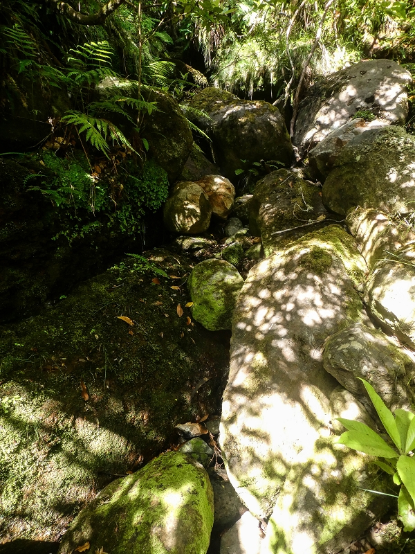 Levada do Posto Aquicola do Ribeiro Frio — The steep stretch, the bifurcation and side levada 8 into the Ribeiro Frio — photo 6