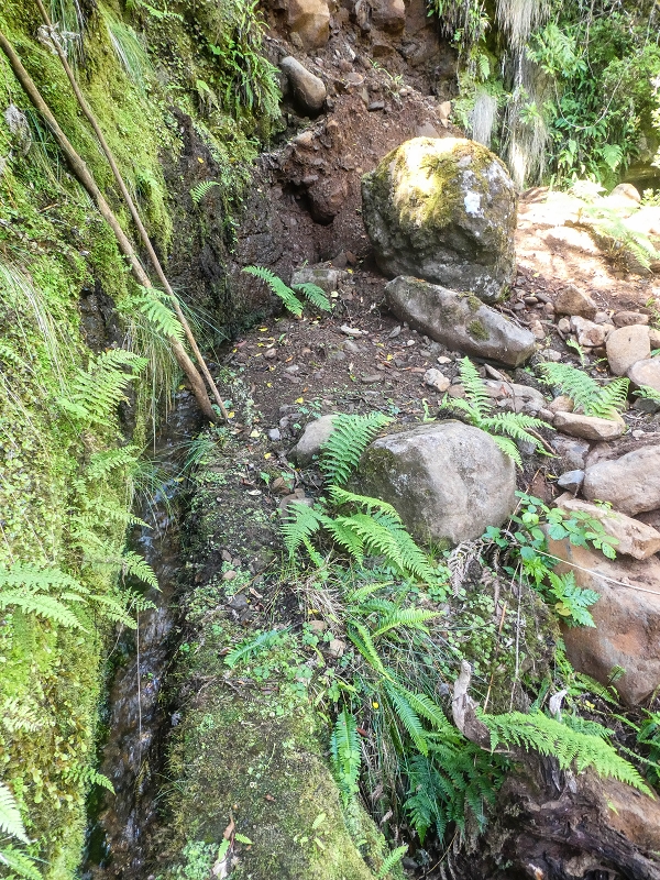 Levada do Posto Aquicola do Ribeiro Frio — The steep stretch, the bifurcation and side levada 8 into the Ribeiro Frio — photo 8