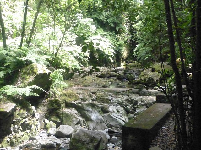 Levada do Rei — foto 1