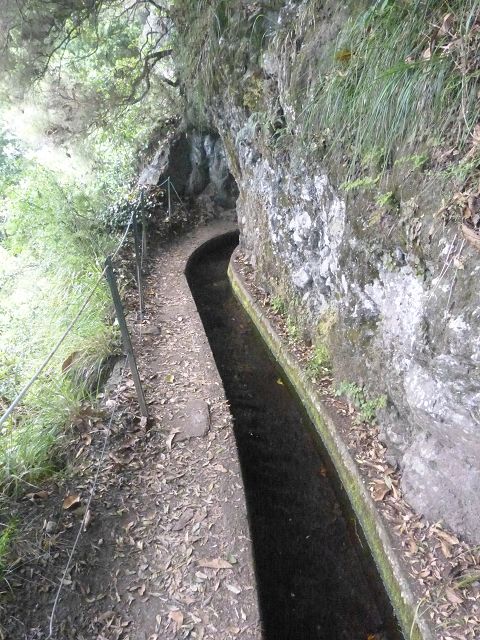 Levada do Rei — foto 10