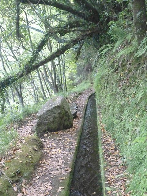 Levada do Rei — foto 11