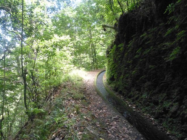 Levada do Rei — foto 12
