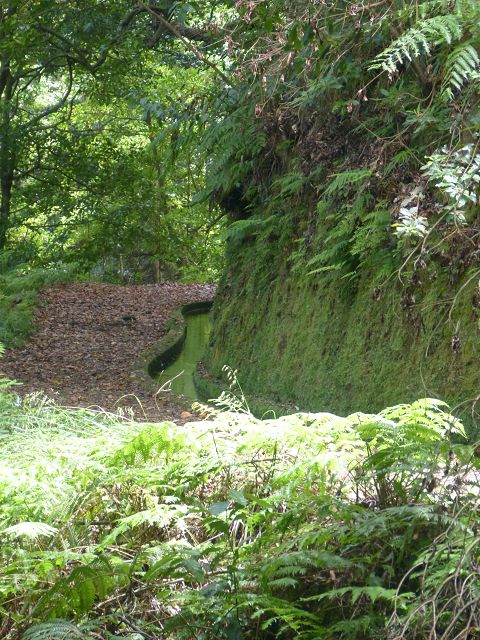 Levada do Rei — foto 16