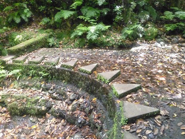 Levada do Rei — foto 15