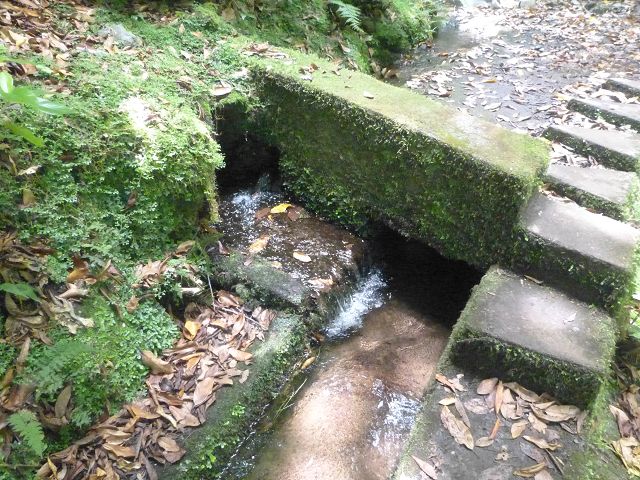 Levada do Rei — foto 17