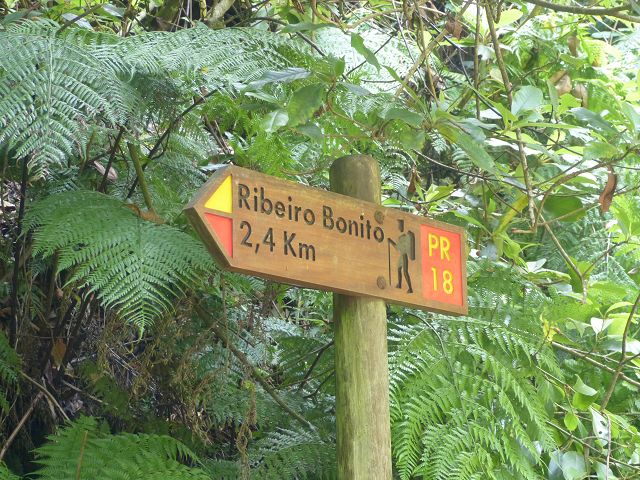 Levada do Rei — foto 18