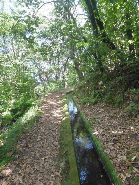 Levada do Rei — foto 20