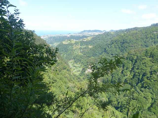 Levada do Rei — foto 22