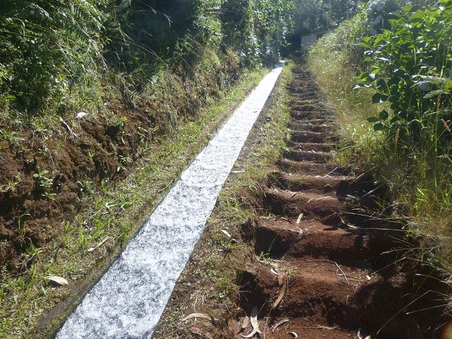 Levada do Rei — foto 24