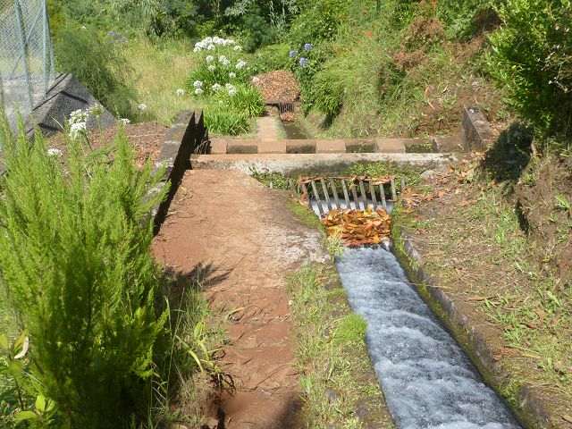 Levada do Rei — foto 25