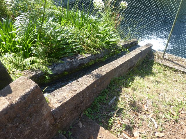 Levada do Rei — foto 27
