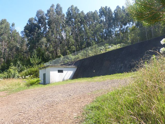 Levada do Rei — foto 28