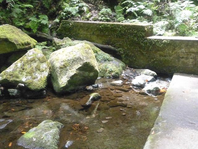 Levada do Rei — foto 3
