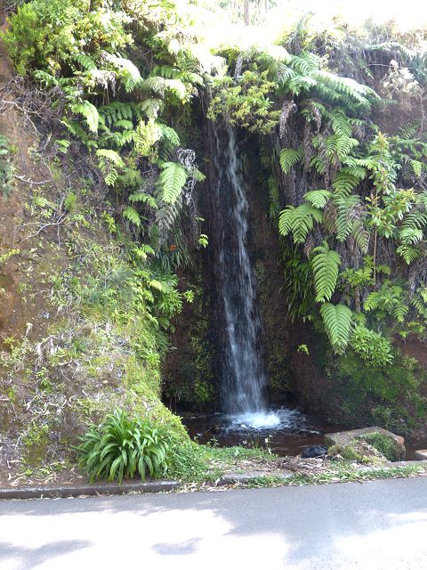 Levada do Rei — foto 30