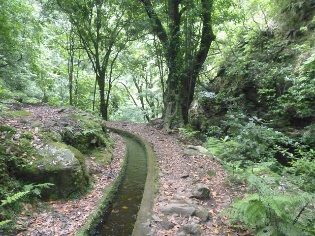 Levada do Rei — foto 4