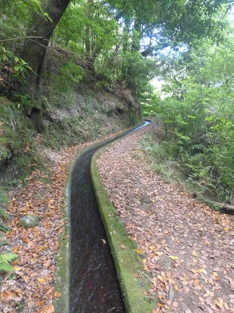 Levada do Rei — foto 5