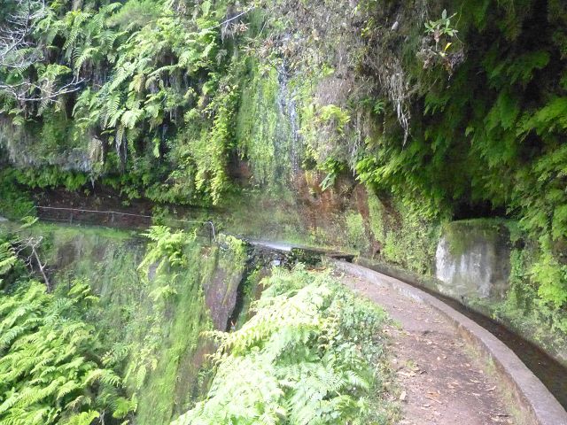 Levada do Rei — foto 7