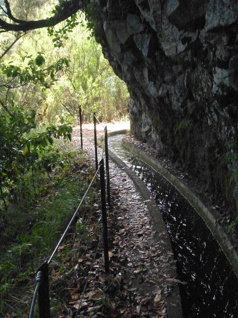 Levada do Rei — foto 8